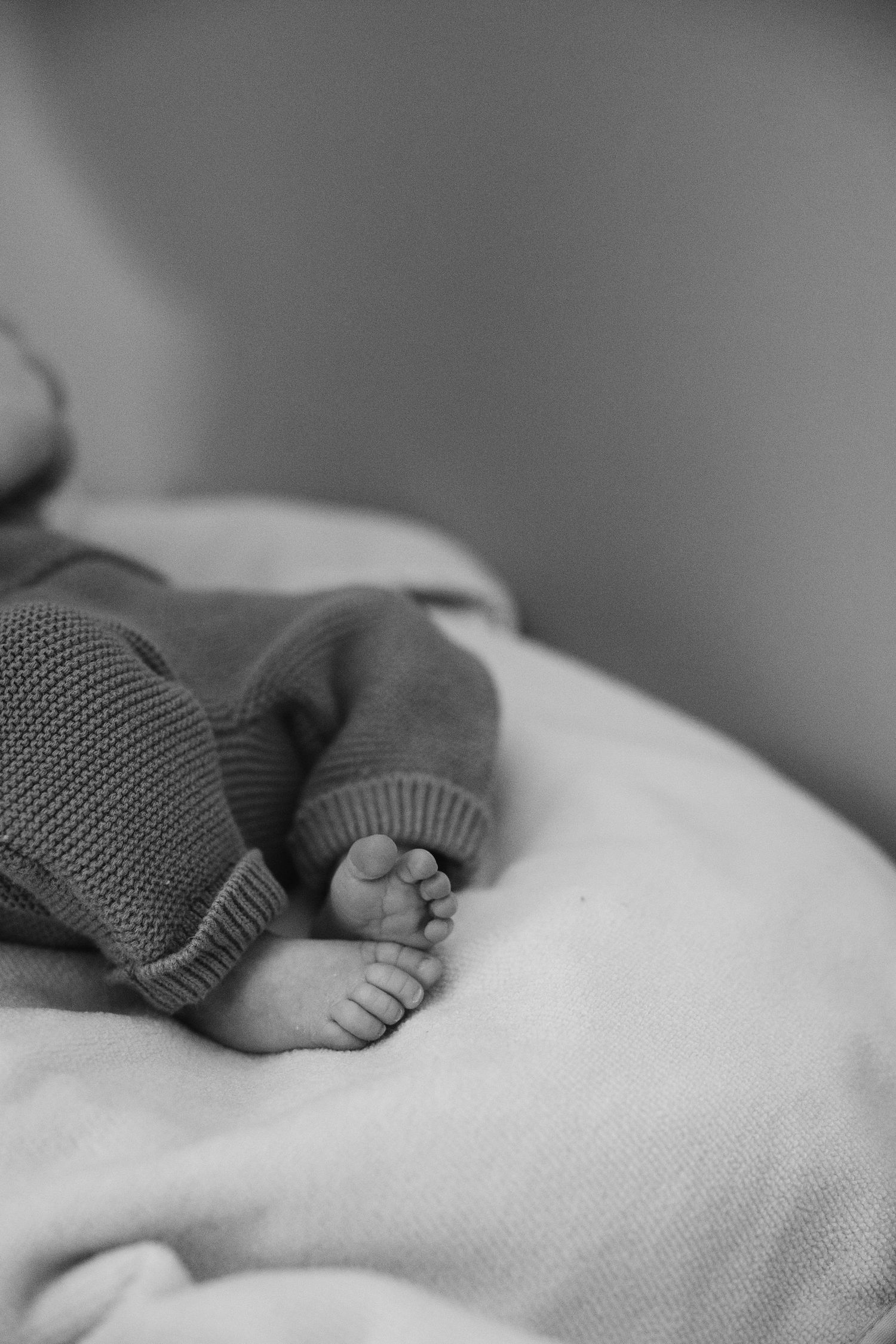 New born Session from top wedding photographer in Maine - Alicia C. Photography