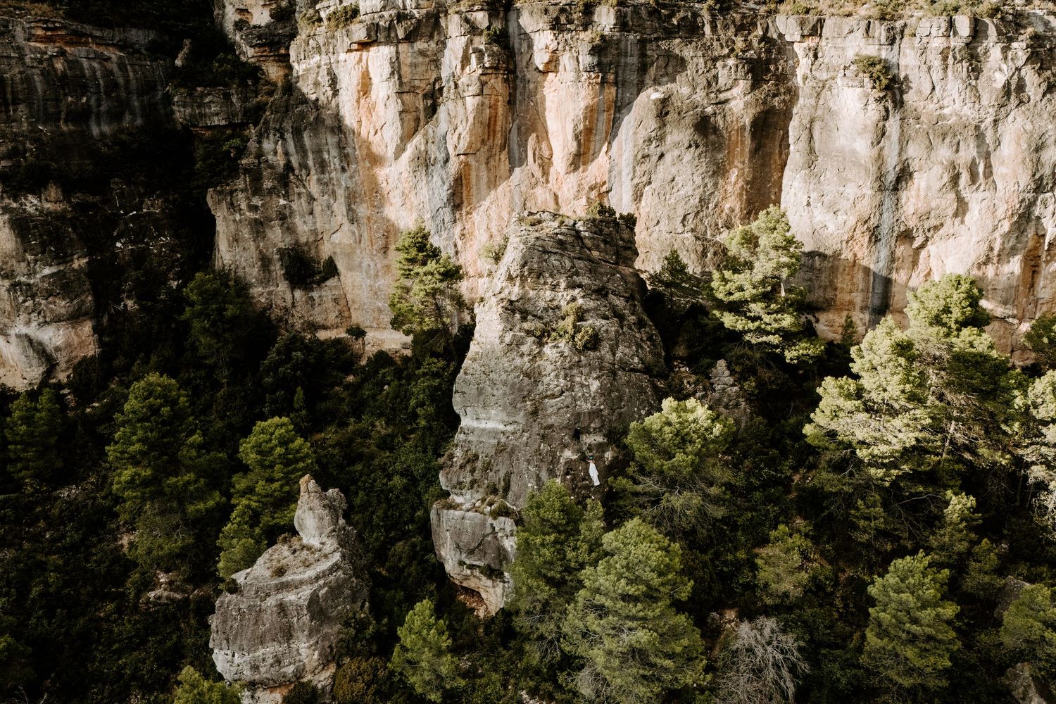 Dramatic limestone cliffs rise above evergreen trees in a rugged mountain landscape.
