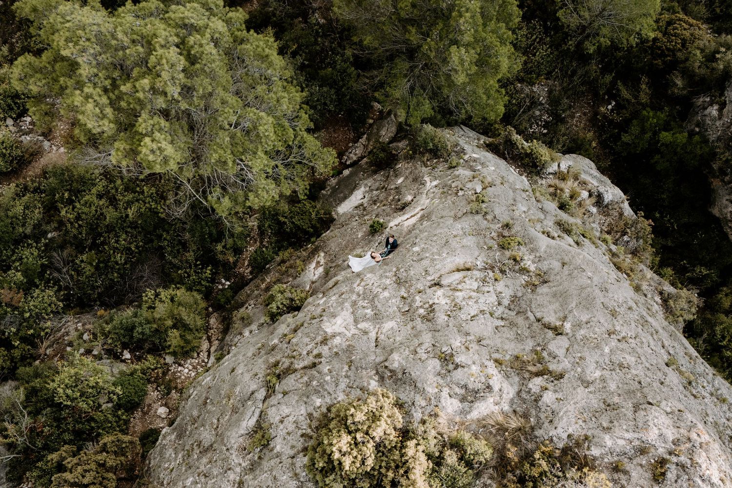 A large grey boulder surrounded by green foliage in a natural outdoor setting.