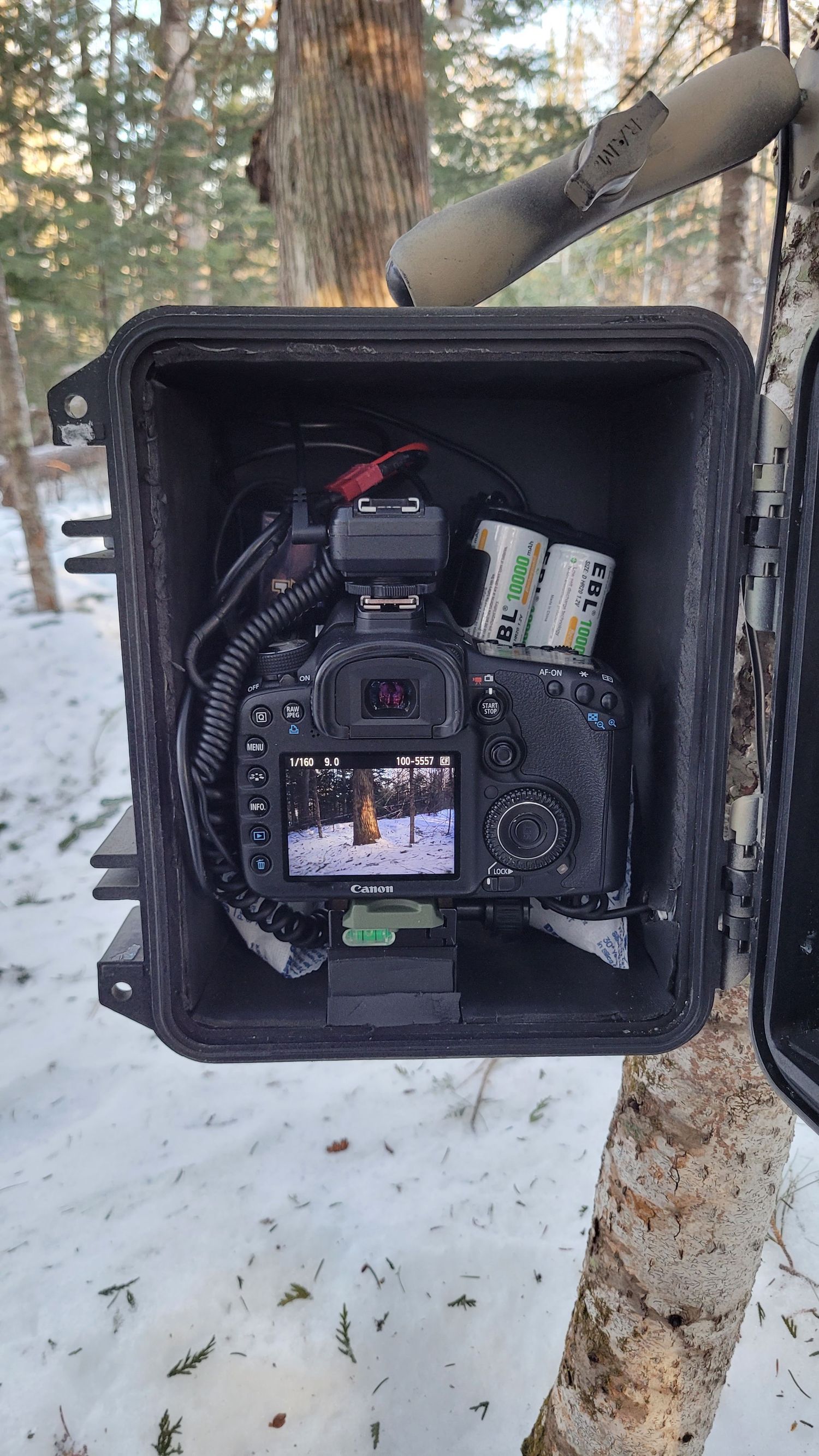 Canon DSLR camera with accessories inside a black Pelican case strapped to a snowy forest tree.