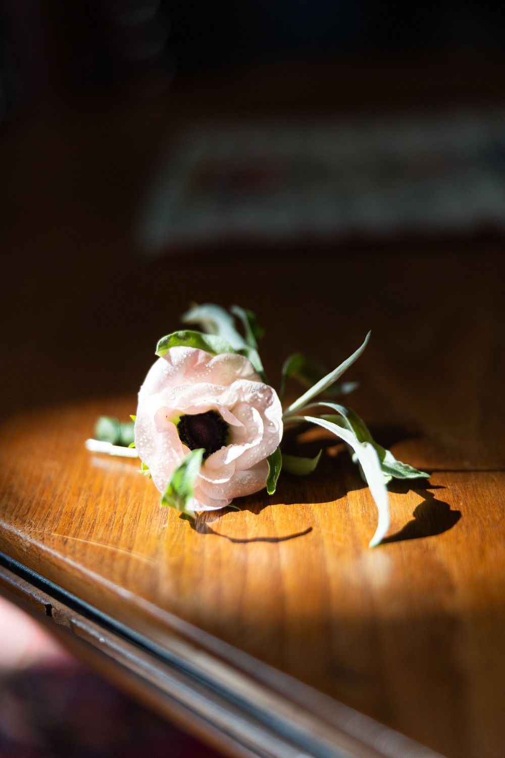 A delicate pink anemone boutonniere rests on a warm wooden surface in soft natural light.