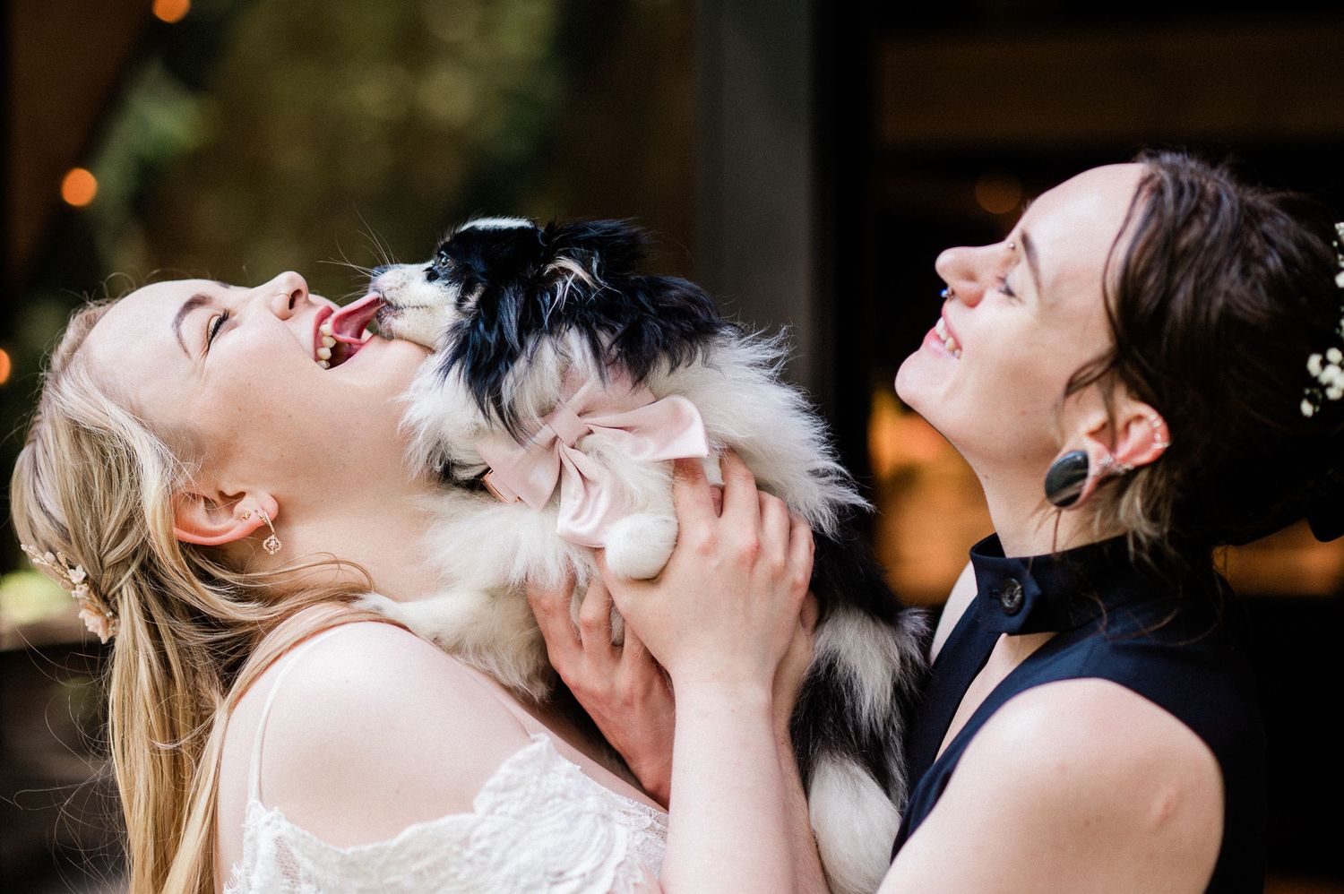 Two brides hold their dog wearing a pink bowtie as it kisses one of them on the mouth as they both laugh.