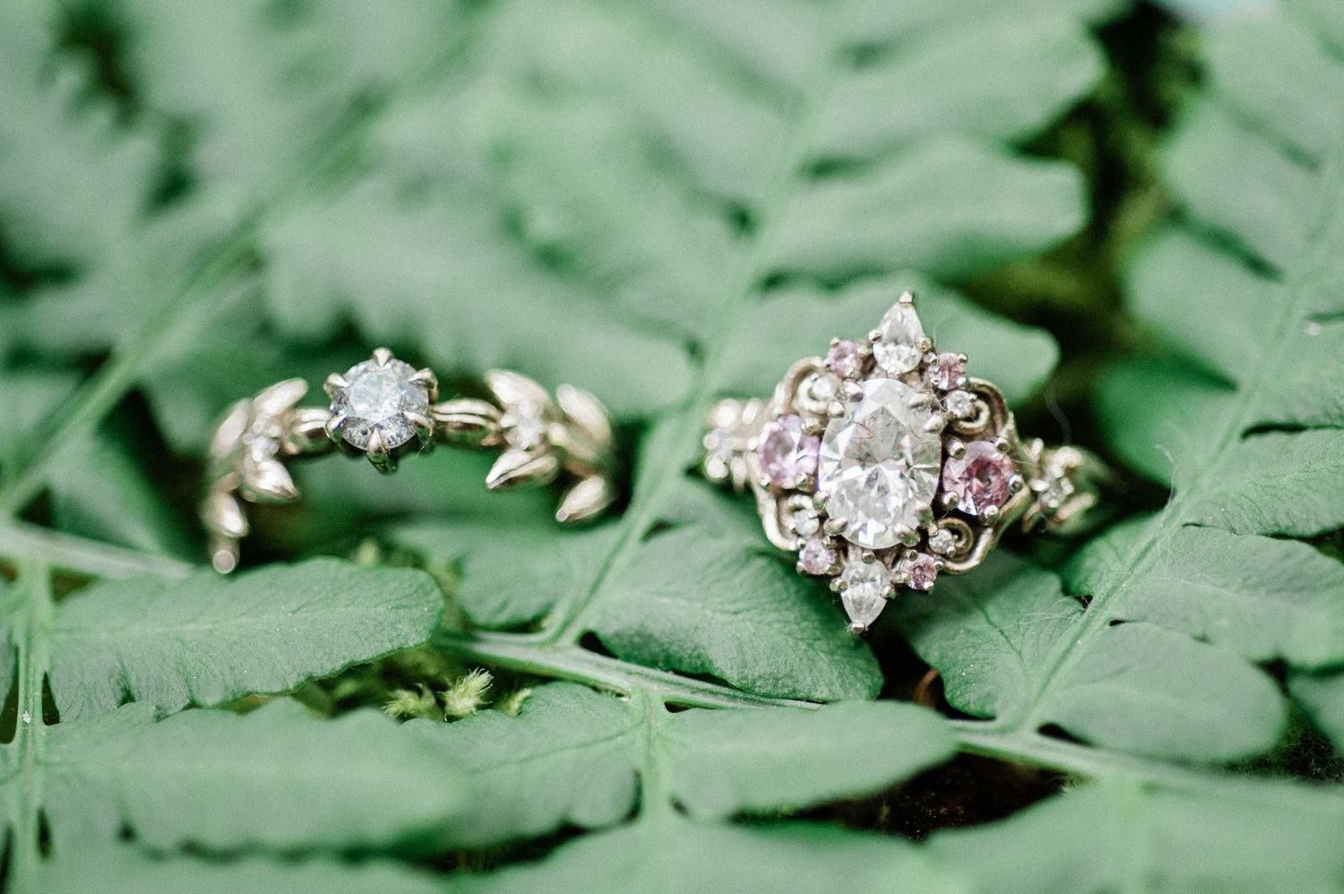 Two vintage-style diamond engagement rings displayed on green fern leaves in a romantic nature setting.