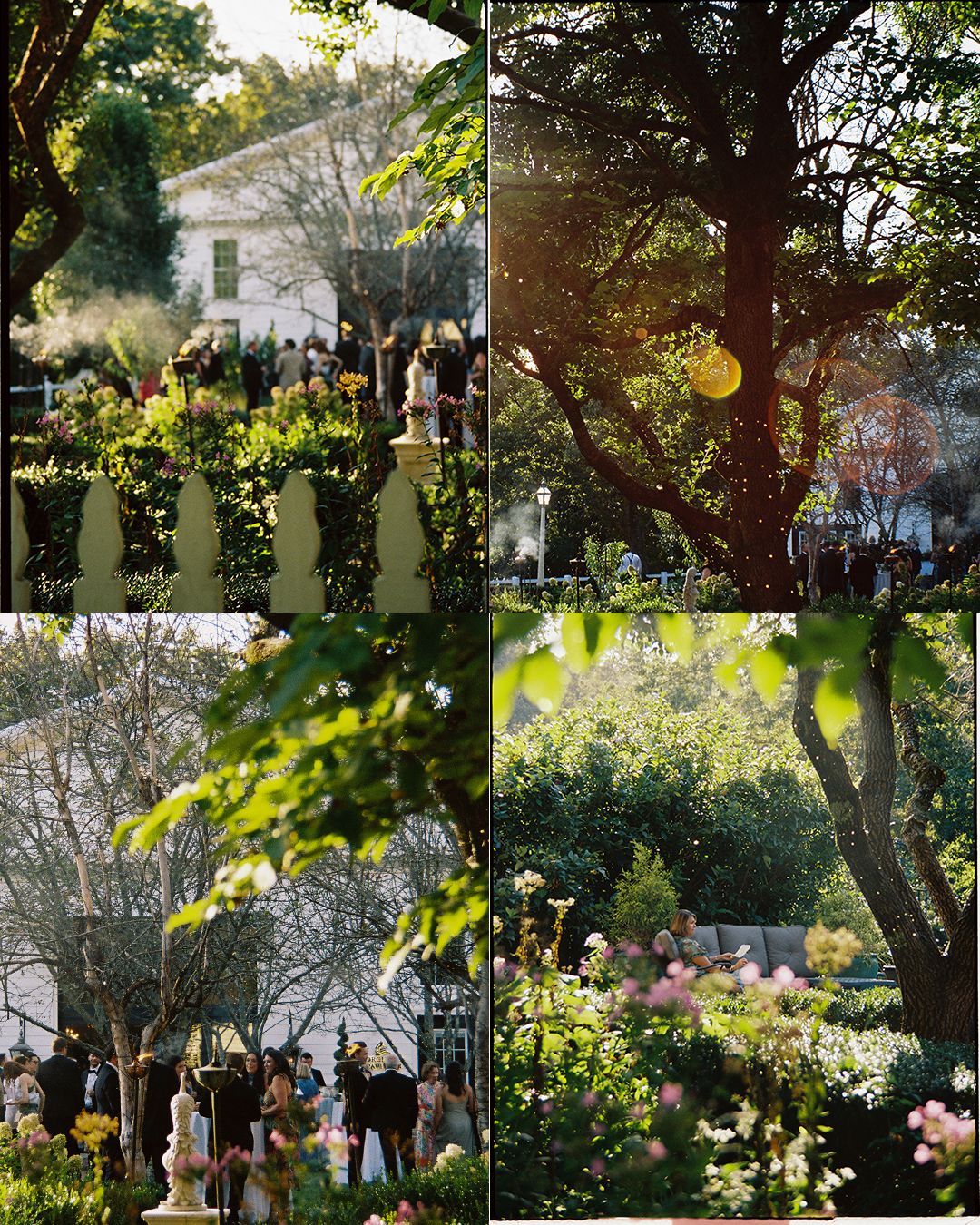 A string of outdoor lights illuminates a garden party setting with trees and decorative elements at dusk.