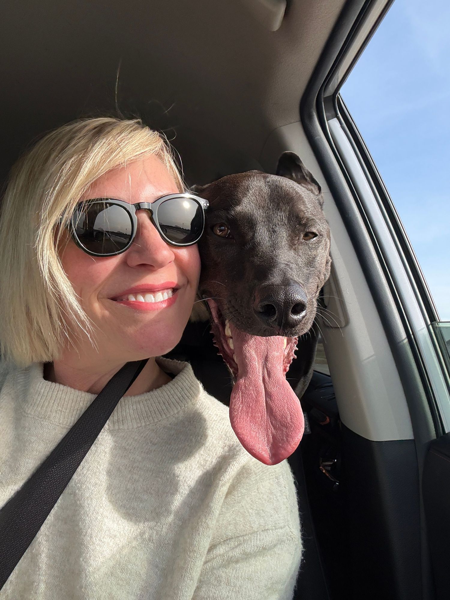 A series of selfies taken in a car showing a person in sunglasses with their happy black dog making silly faces together.