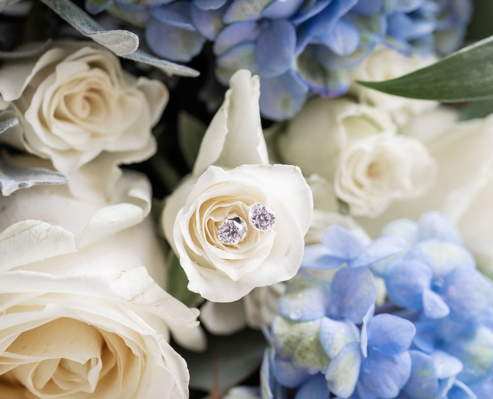 Close-up of white roses and blue hydrangeas with a wedding ring nestled in the petals.