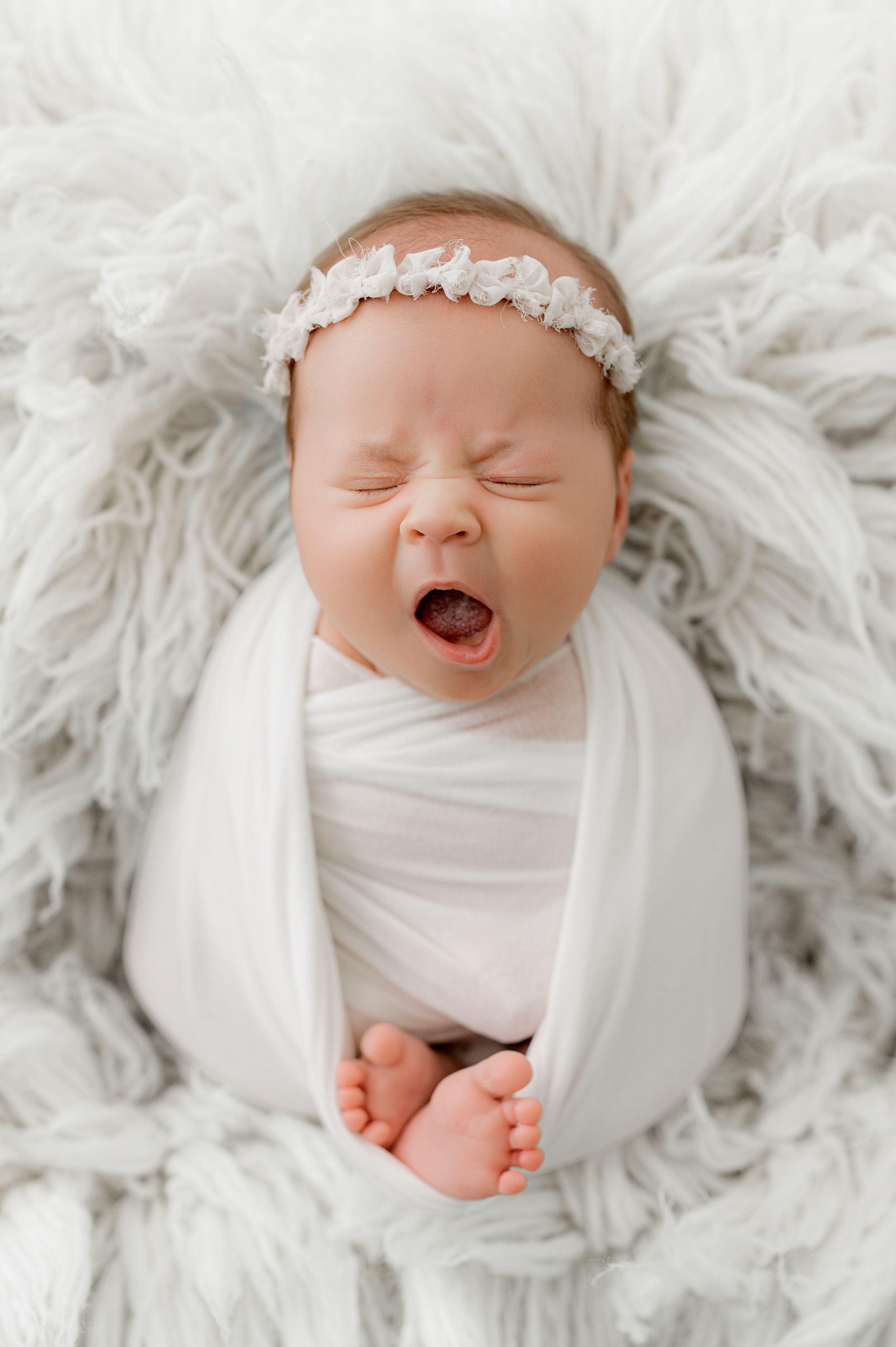 newborn photography jacksonville fl