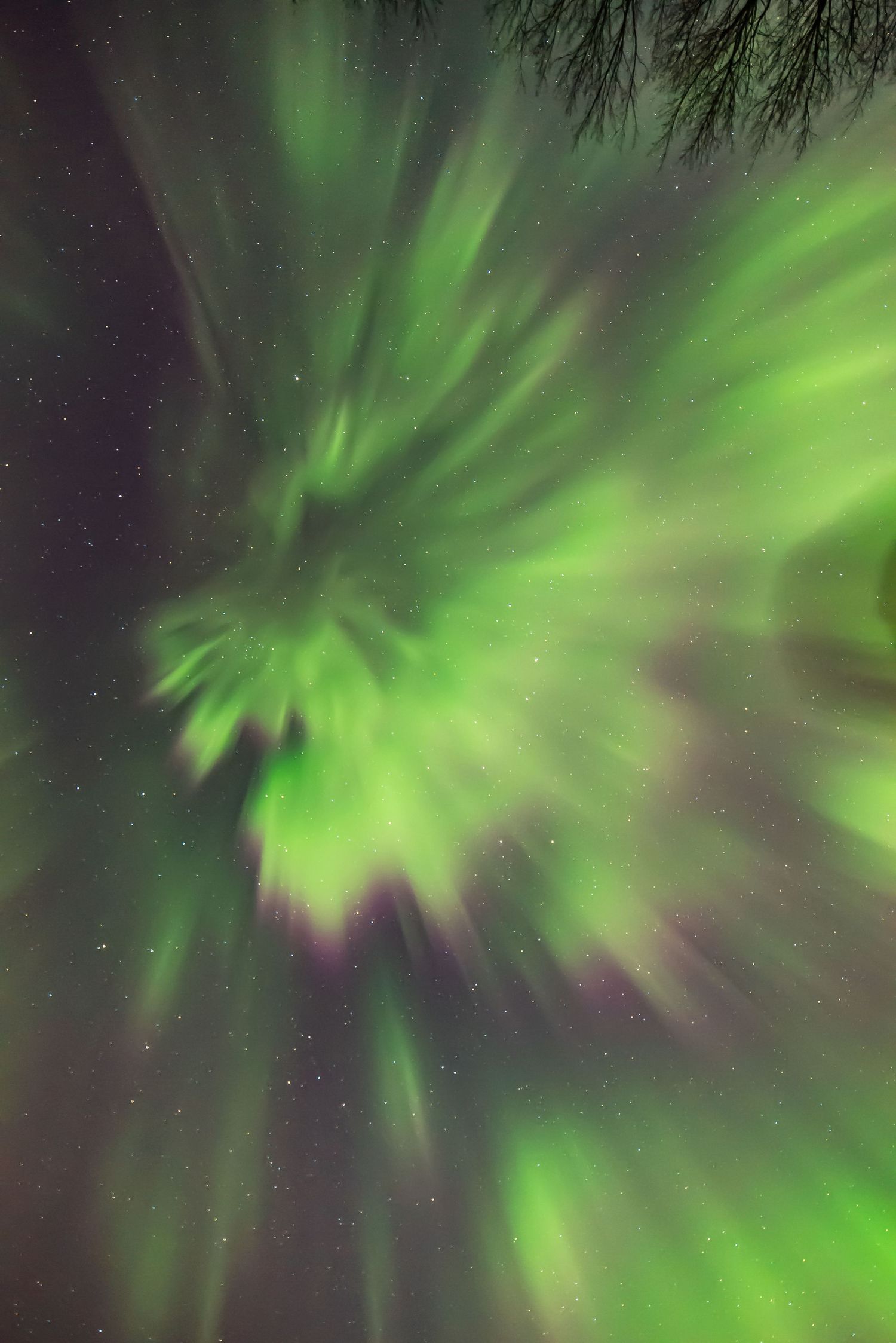 "The LION"  Northern Lights Corona overhead, March 2023