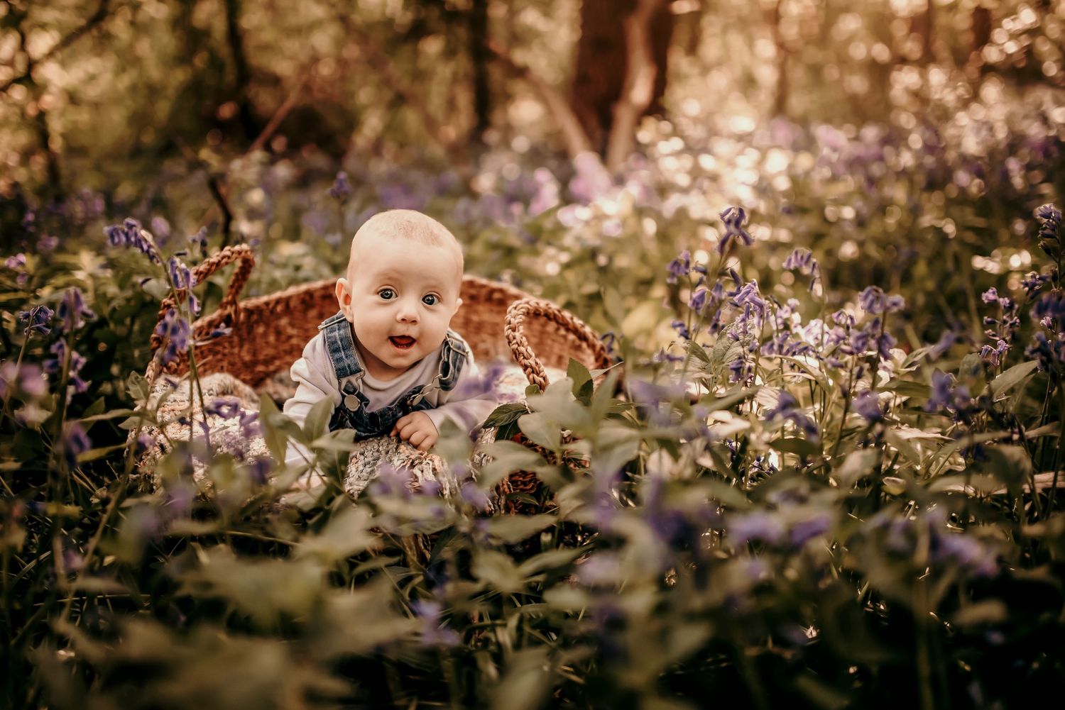 affordable family photographer cambridgeshire