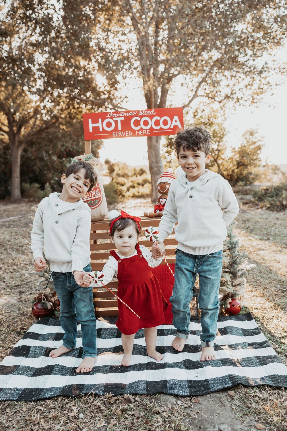 A festive hot cocoa stand setup outdoors with a red sign and black and white checkered blanket during golden hour.