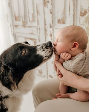 Newborn Baby with dog Newborn Baby Photography, East Cork, West Waterford.