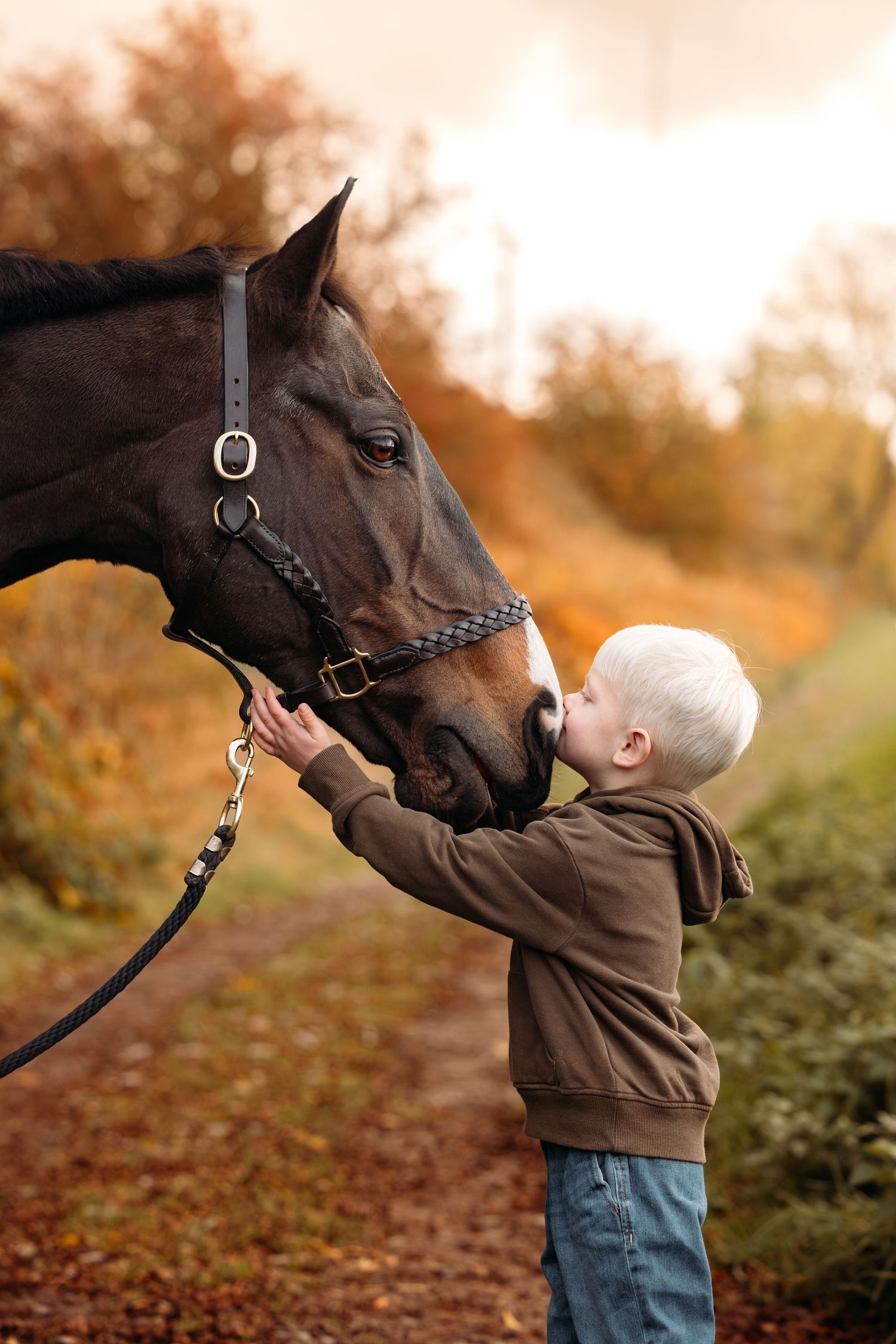 A touching moment between a young admirer and a gentle brown horse on an autumn path.