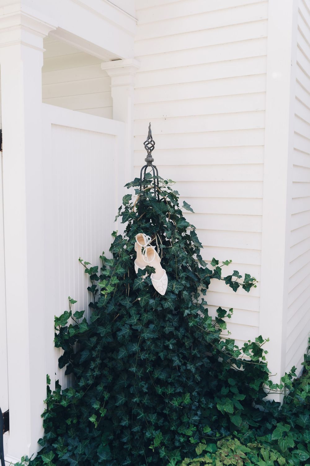 Lush green ivy grows along white pillars of a classic porch exterior.