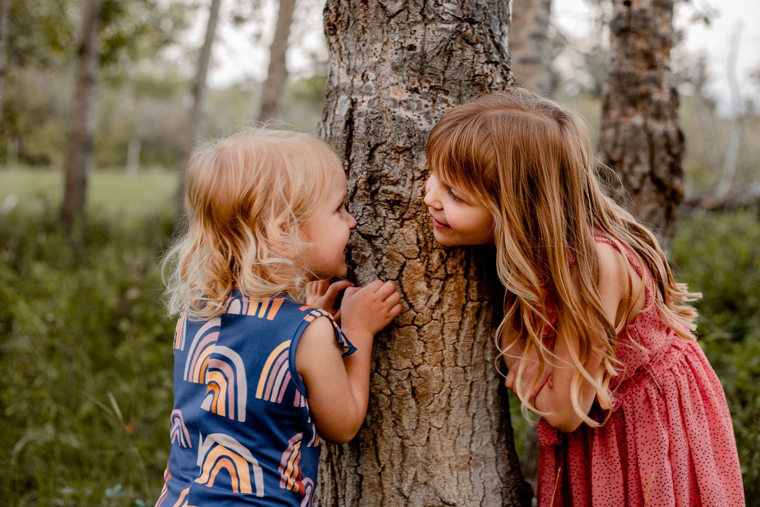 family session Balcarres