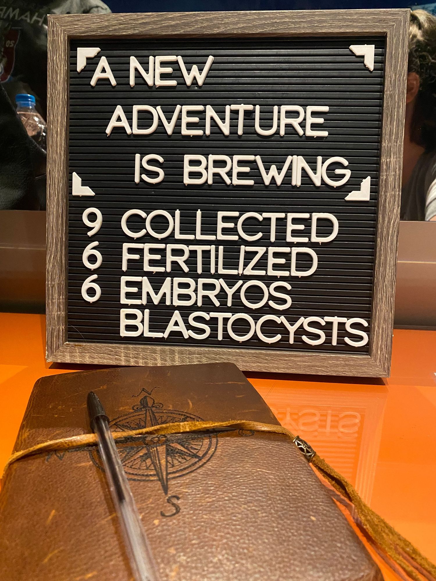 A series of black letterboard signs showing a pregnancy announcement with text about blastocysts and embryos.
