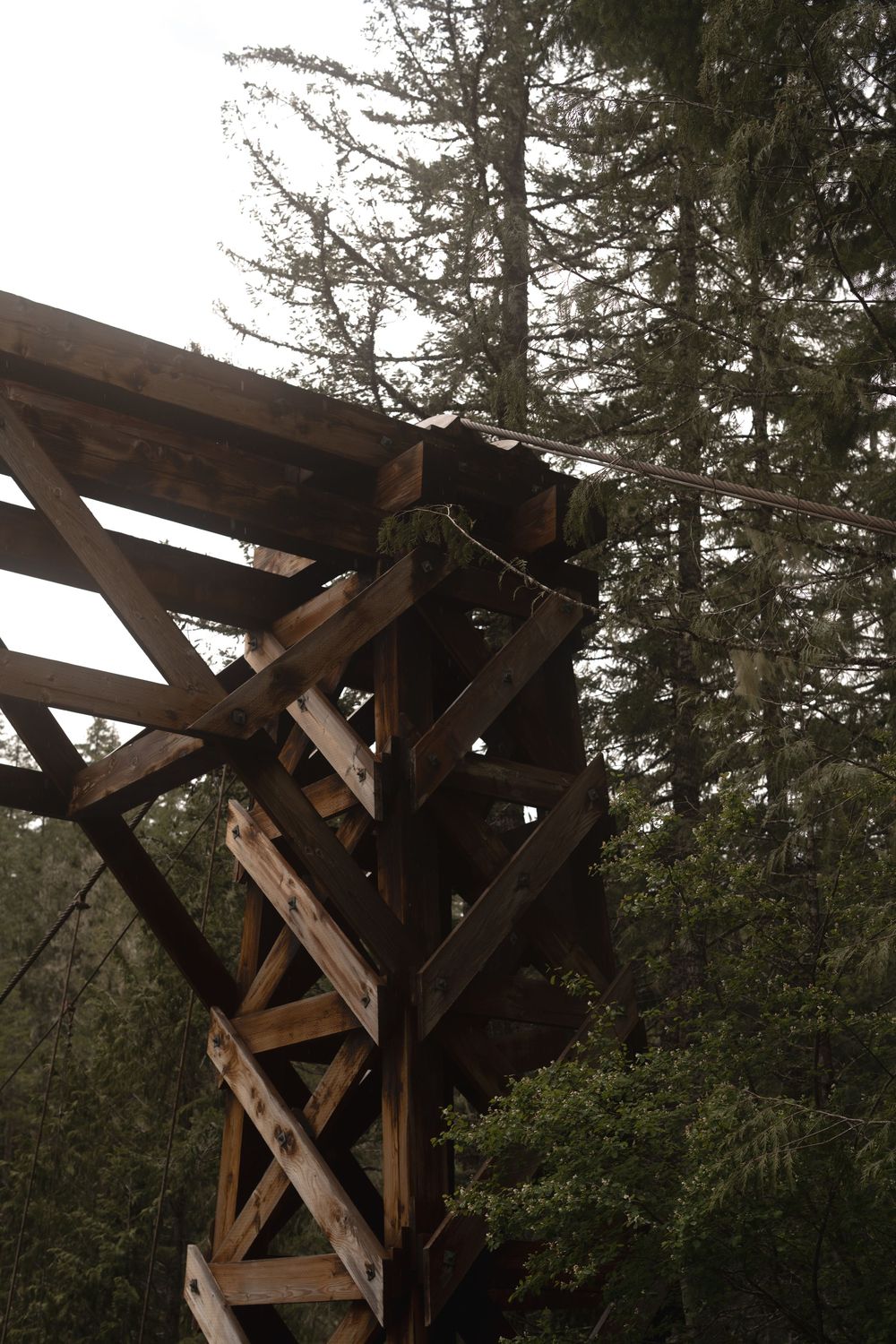 Wooden architectural beams frame evergreen trees in a forest landscape.