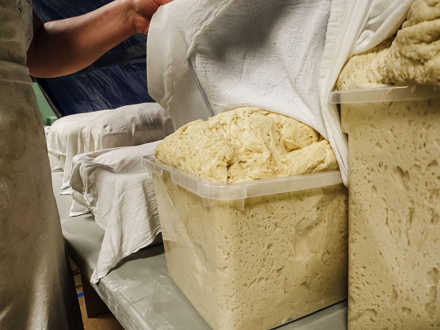 Hands kneading and folding dough on a floured surface in a sequence of preparation steps.