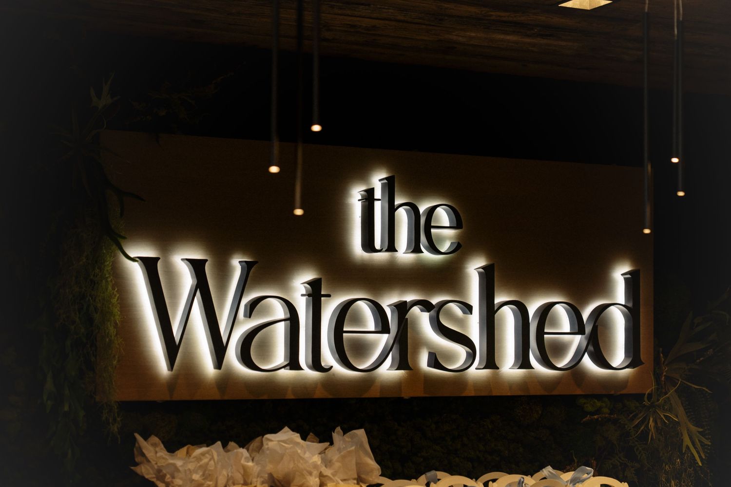 Illuminated white letters spelling 'Watershed' mounted on a dark exterior wall of a building at night.