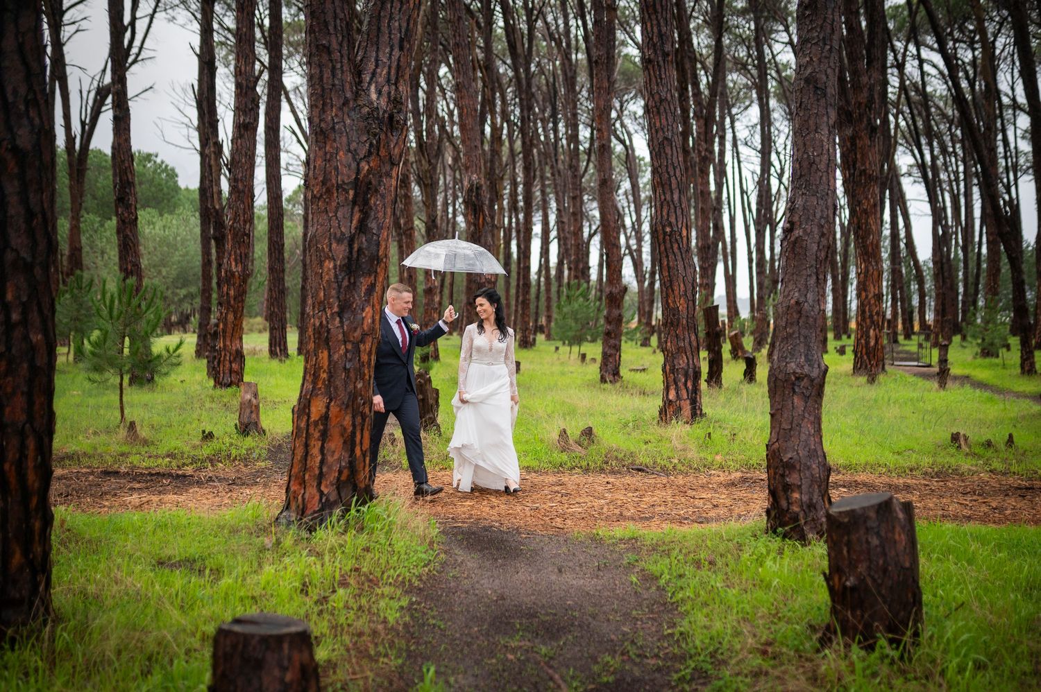 Bride and groom walking through pine forest in rain, sharing a clear umbrella on their wedding day.