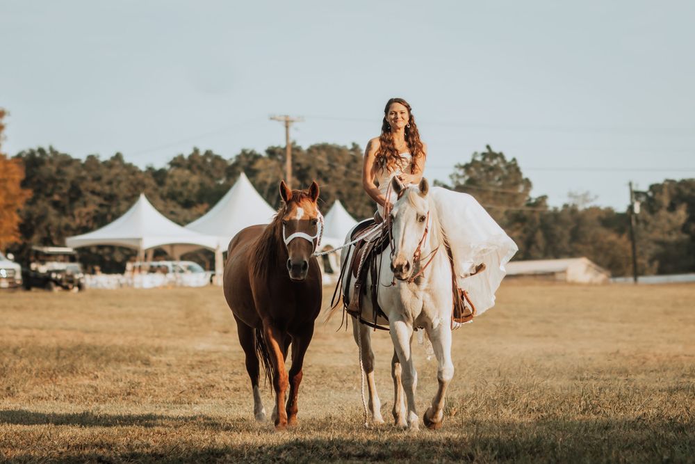 include your horses in your wedding