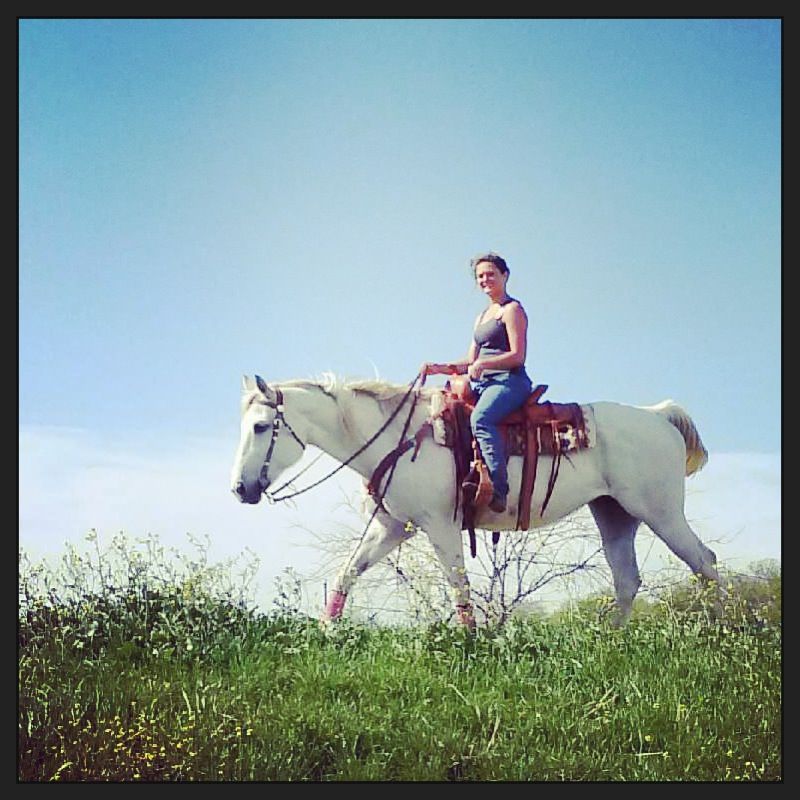 equine photographer near Rockwall, Texas