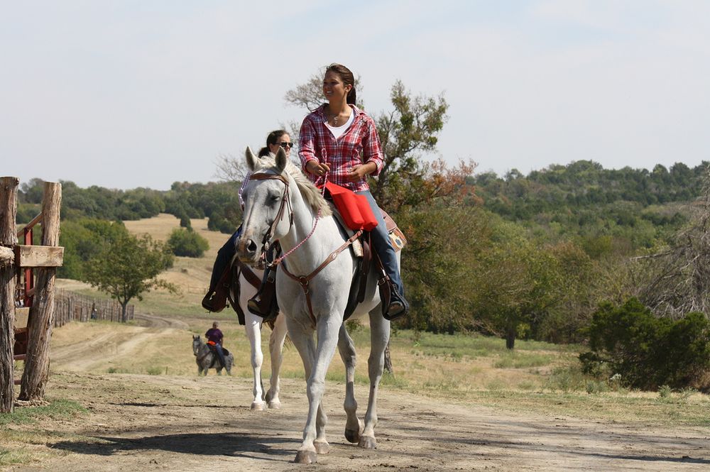 Athens, Texas equine photographer