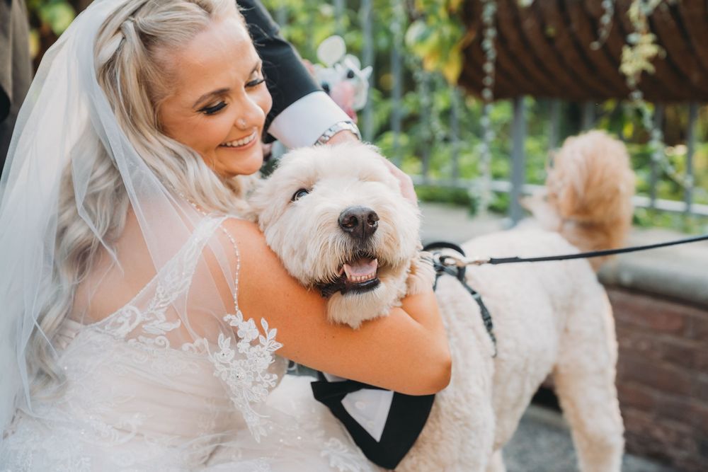 A joyful white fluffy dog in a bowtie shares a special moment with someone in a wedding dress.