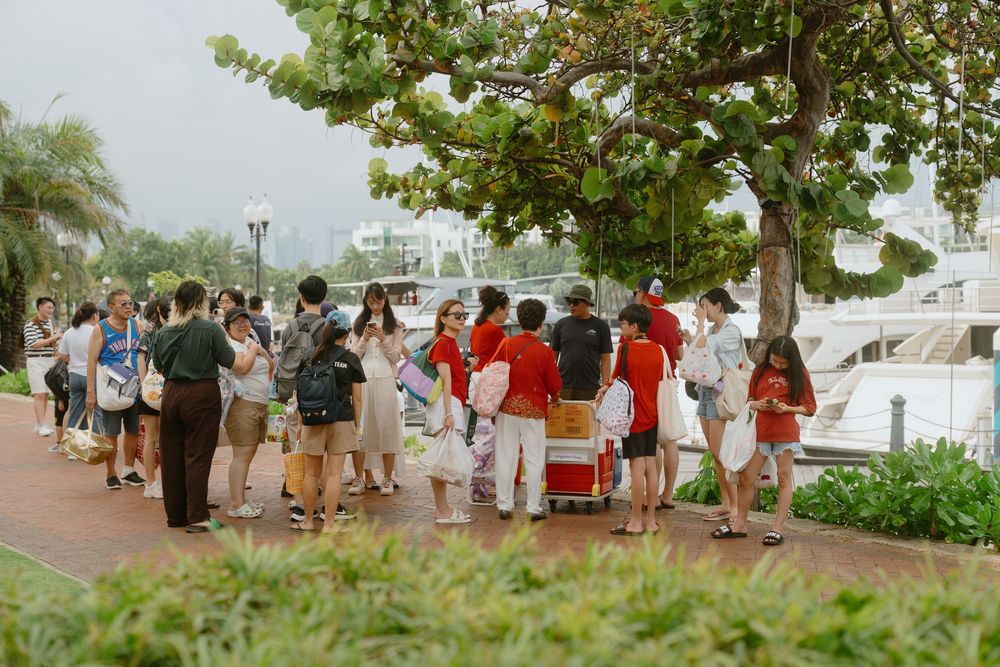 Groups of people waiting in line outside along a palm tree-lined path during daytime.