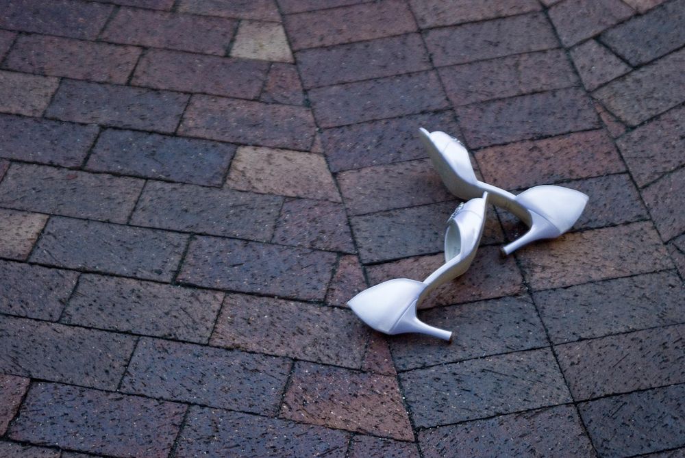 White and gray seagull walking on brick patterned pavement in a series of six sequential photos.