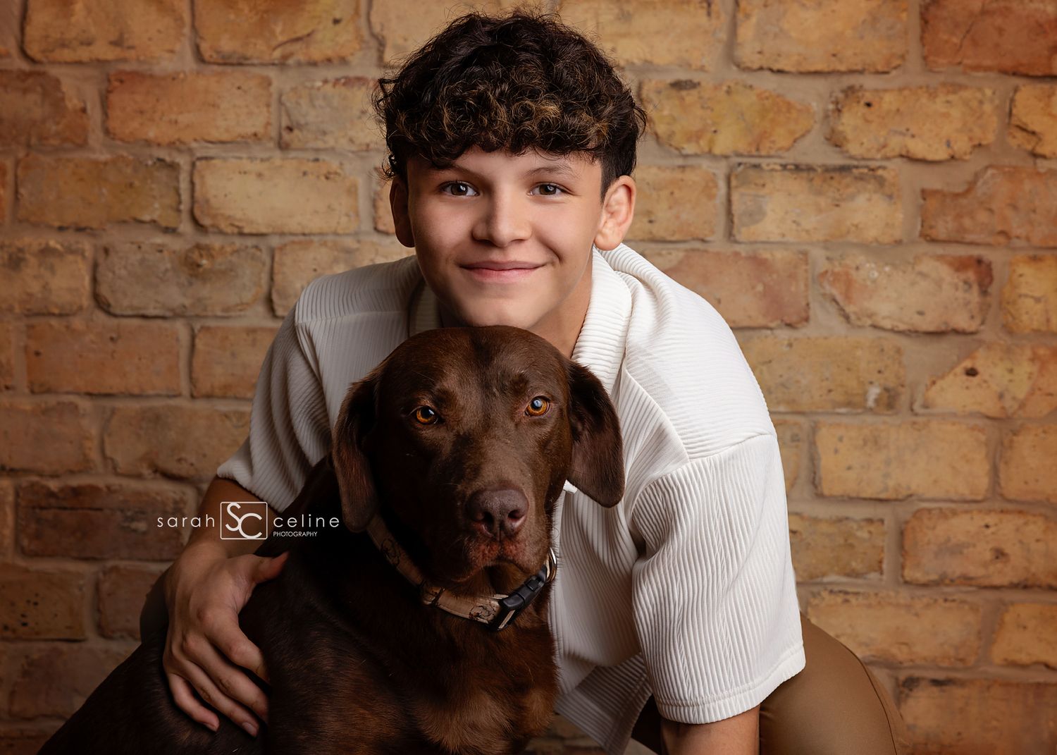 A chocolate Labrador retriever poses with someone in a white t-shirt against a rustic brick wall background.