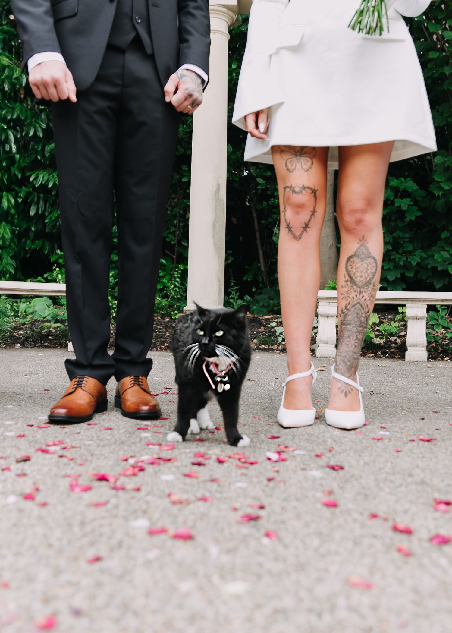 Detail shots of feet and legs showing tattoos, dress shoes, and rose petals on the ground. Photographer. Hull. East Yorkshire. Photography