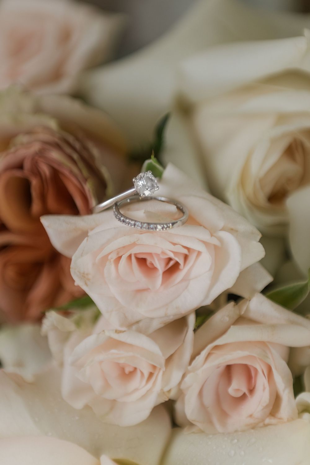KZN Midlands Wedding photographer | Haycroft Farm