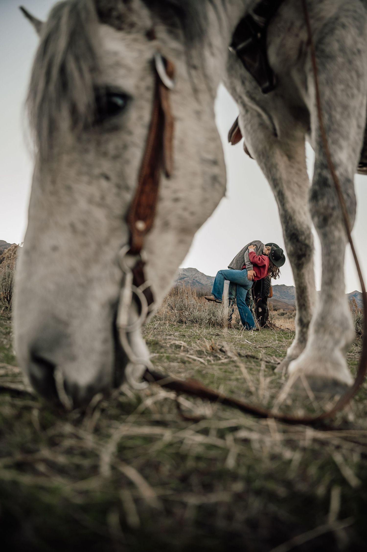 Two white horses frame a creative perspective shot in a rustic outdoor setting.