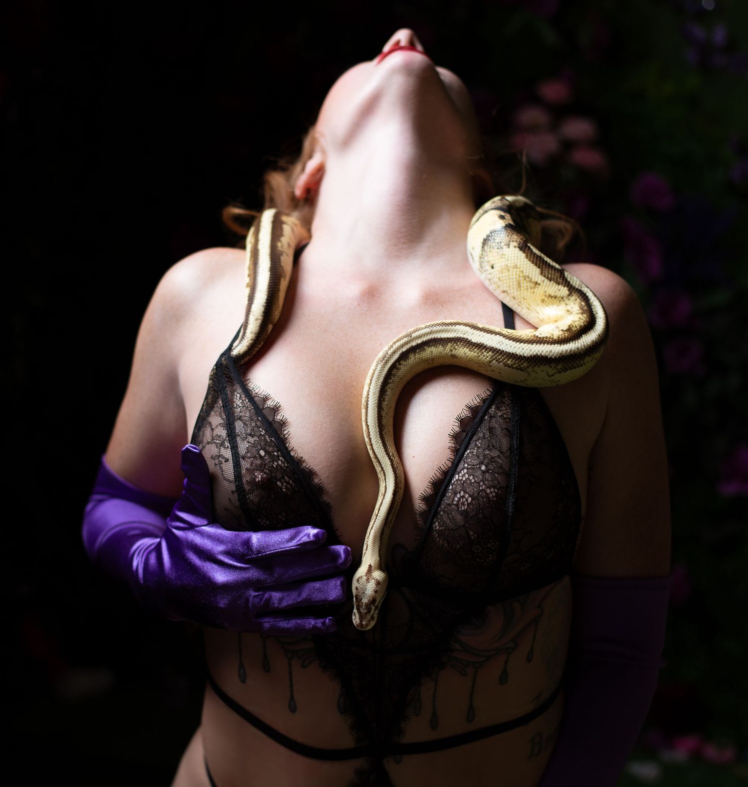 Boudoir photography of a intimate close up of a woman with black lingerie, purple gloves holding a snake and going down her chest, Utah