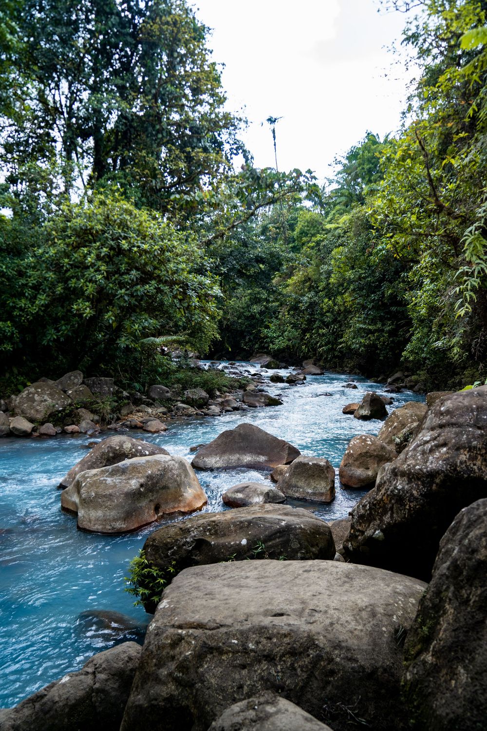 Costa Rica Travel Photography