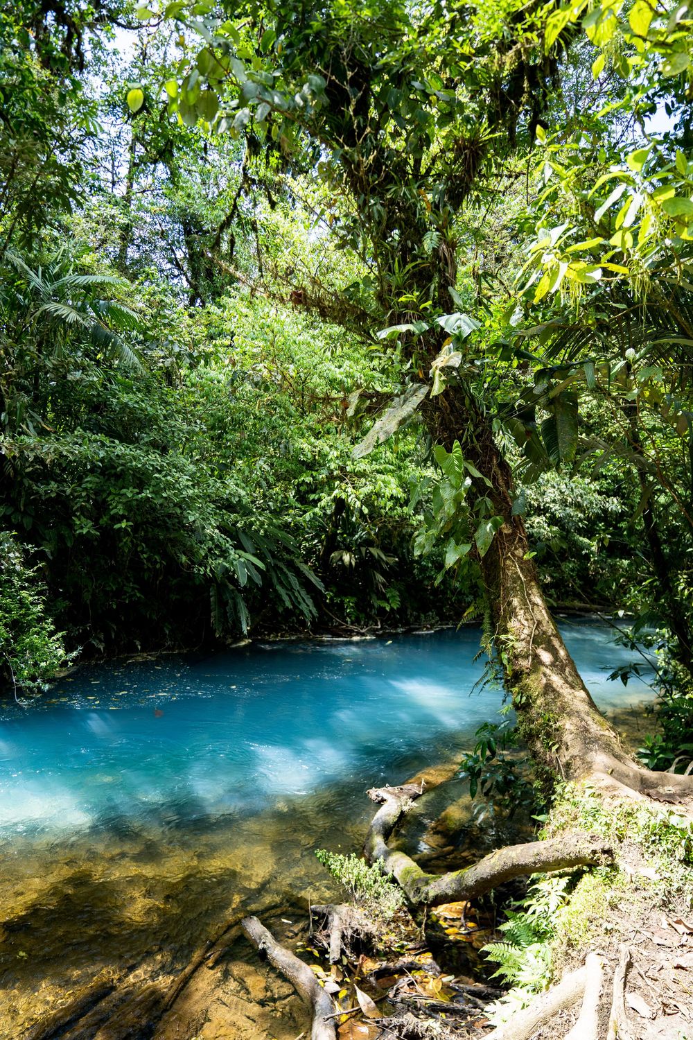 Costa Rica Travel Photography