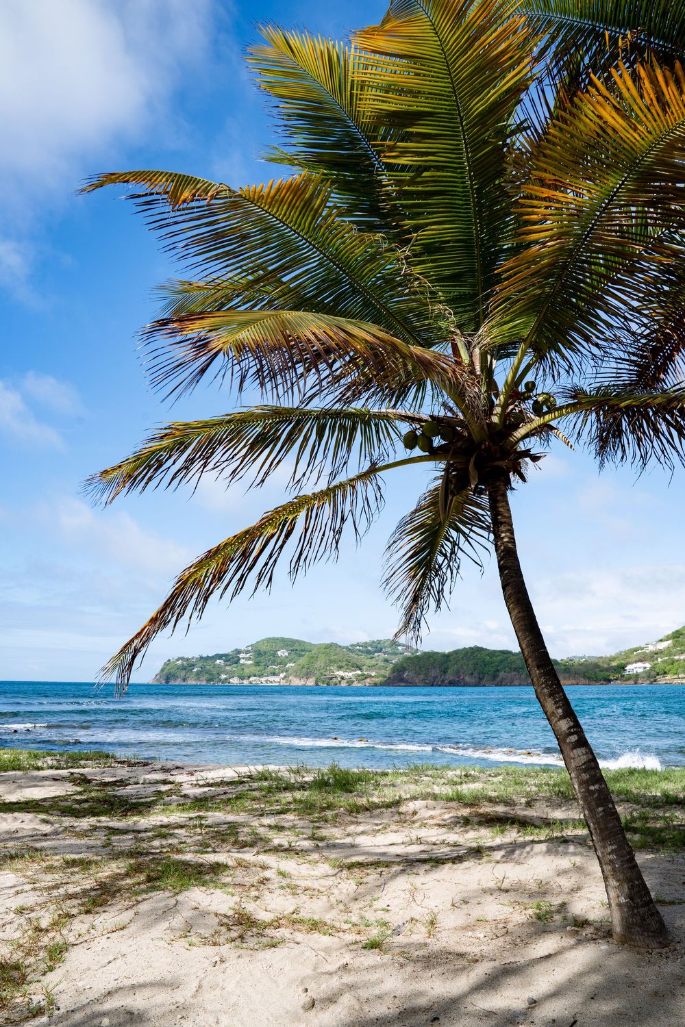 Saint Lucia Pigeon Island