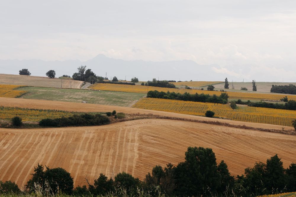 Panoramic view of rolling countryside fields with harvested wheat and distant mountain peaks.