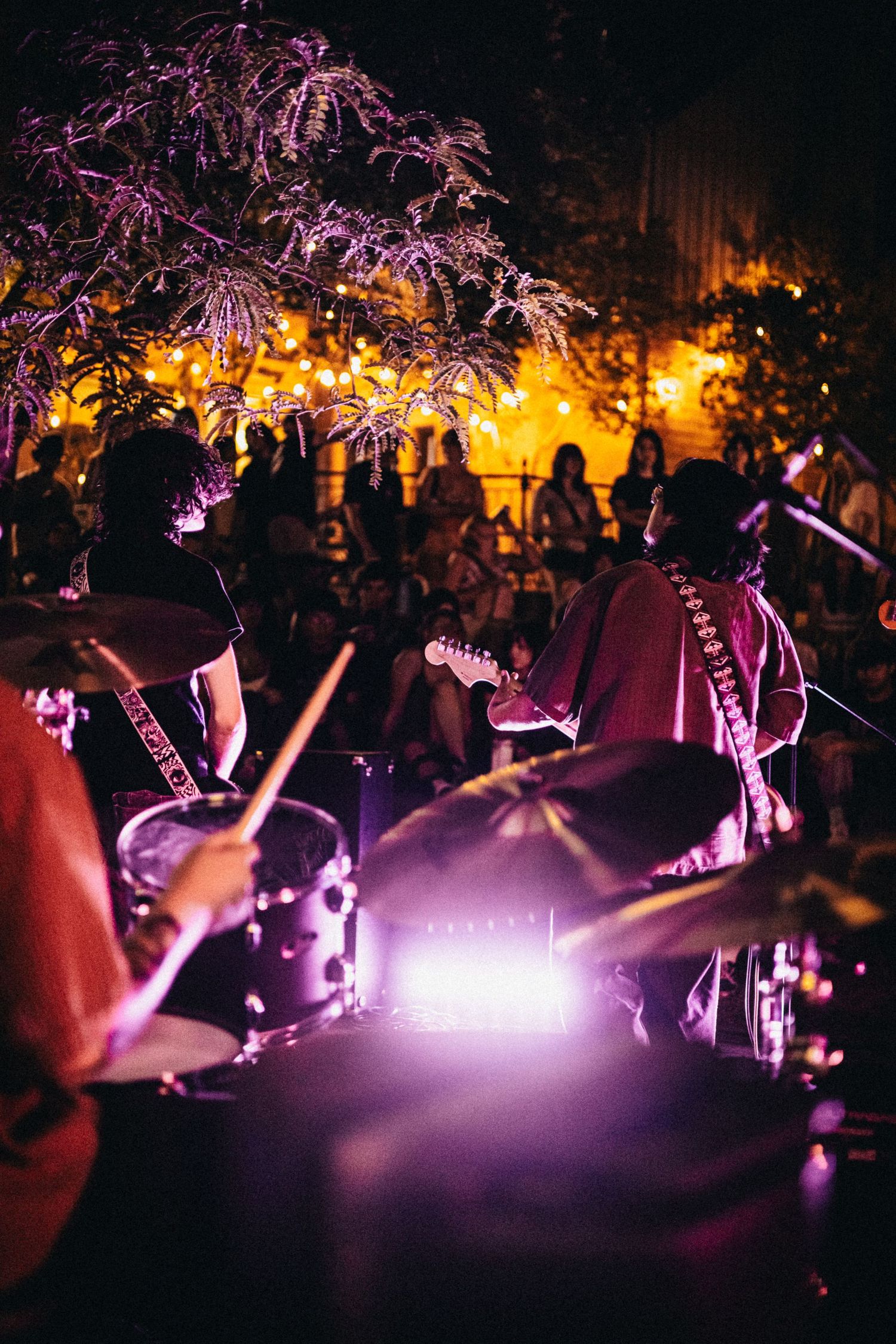 Concert crowd silhouettes under purple stage lighting with decorative palm trees illuminated in the background.