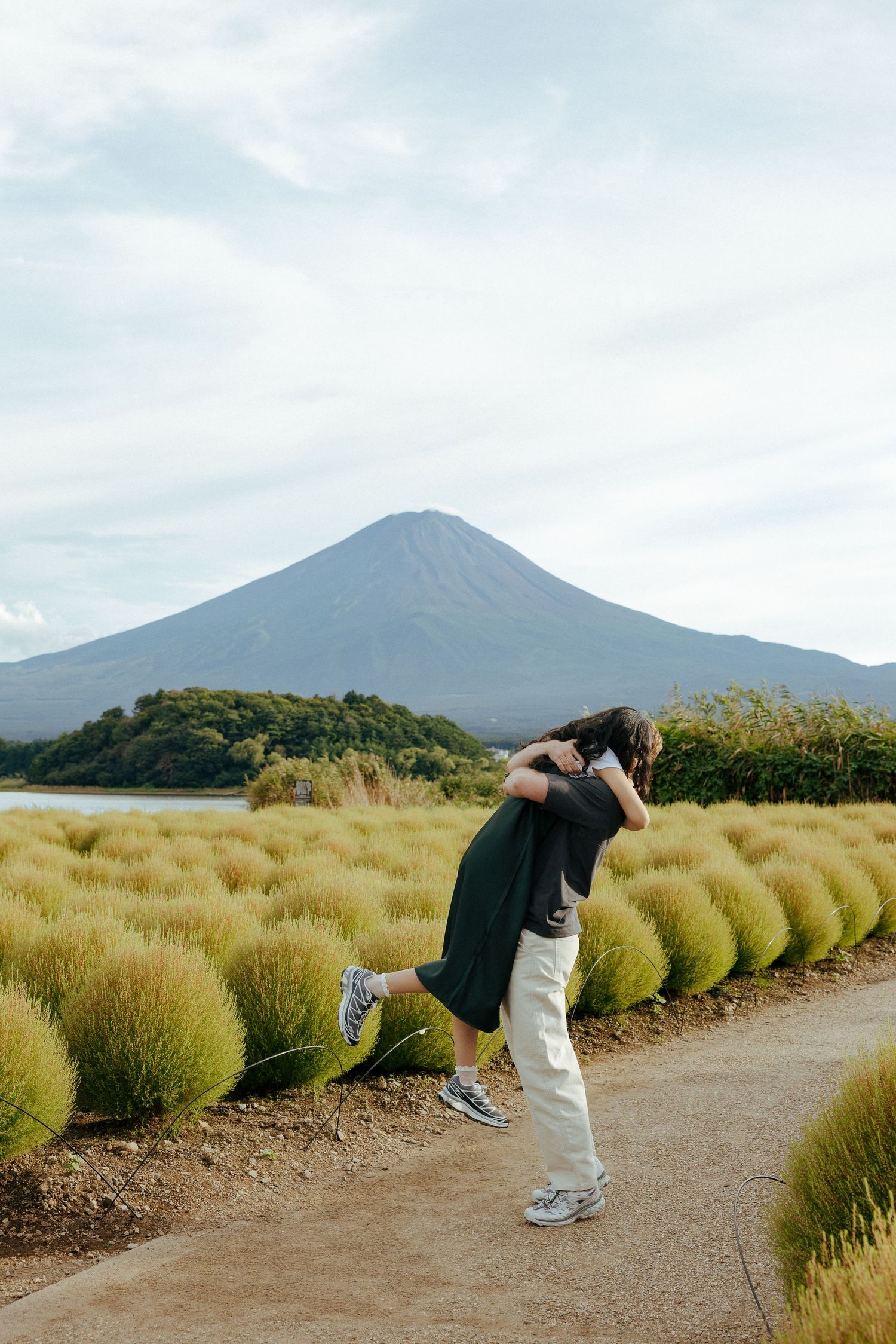 Engagement photoshoot surrounded by tall grass  and green Kochia with a majestic Mount Fuji in the background.