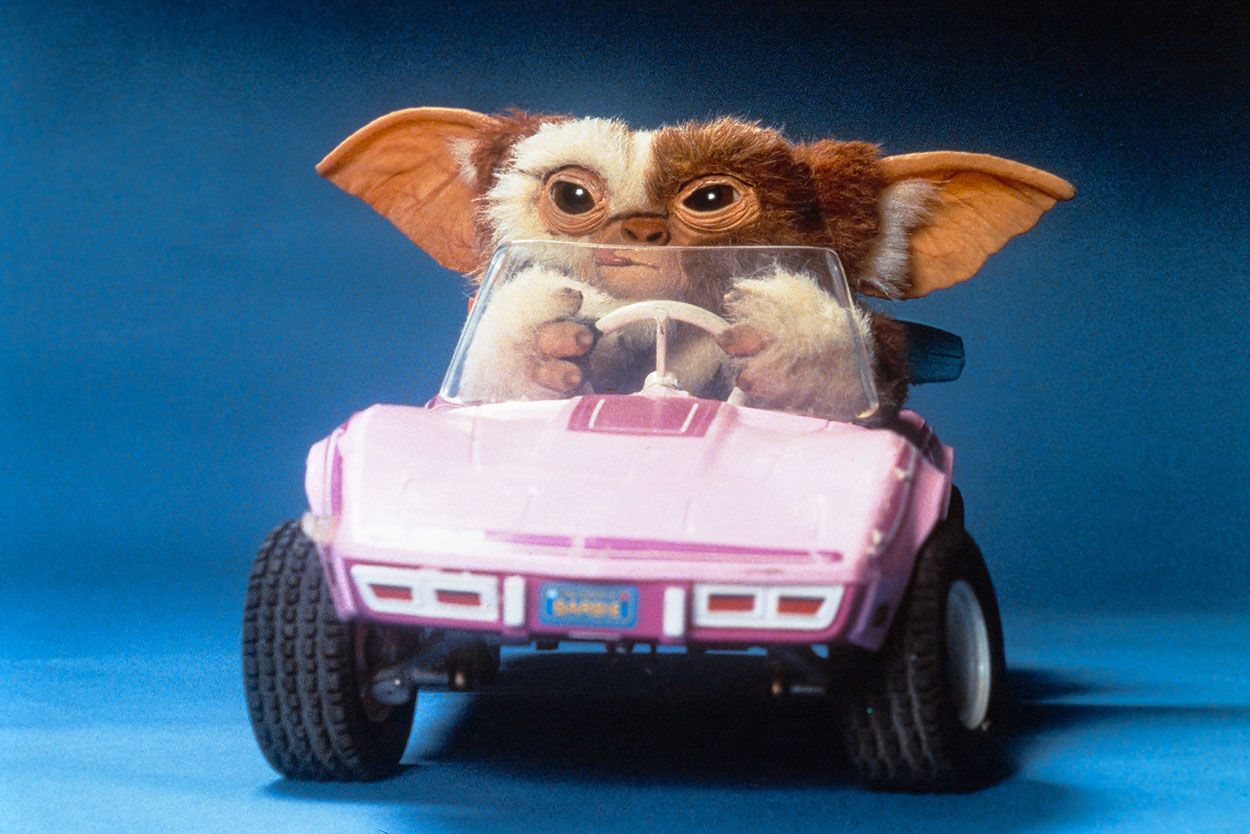 Gizmo and his Corvette