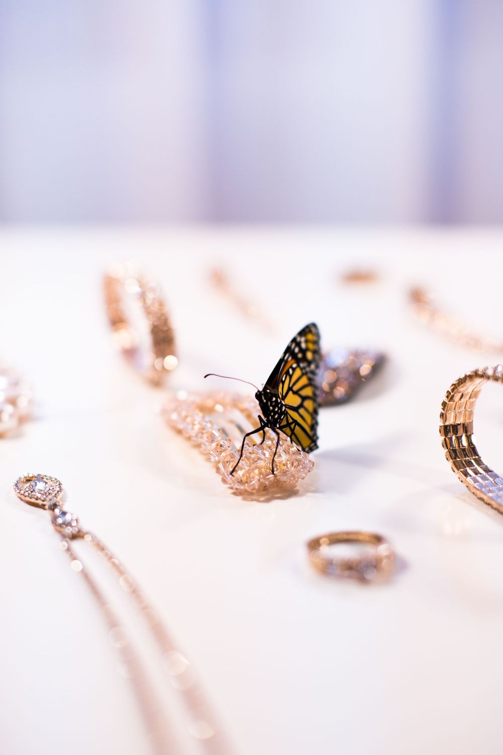 Delicate monarch butterfly rests on rose gold jewelry against white background.