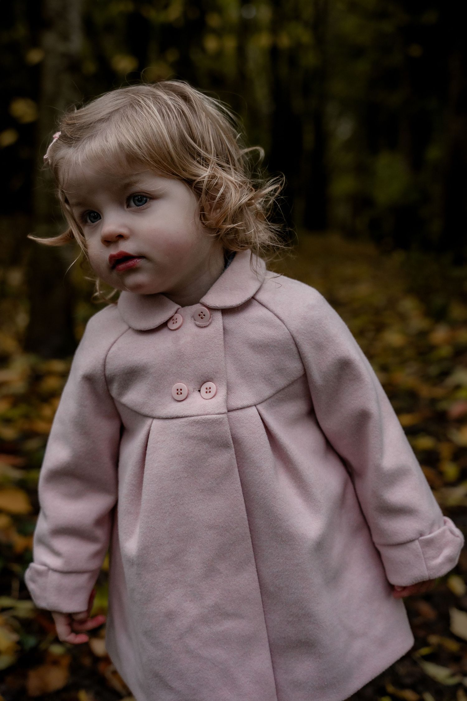 A small child wearing a pink wool coat stands in an autumn forest setting with fallen leaves in the background.