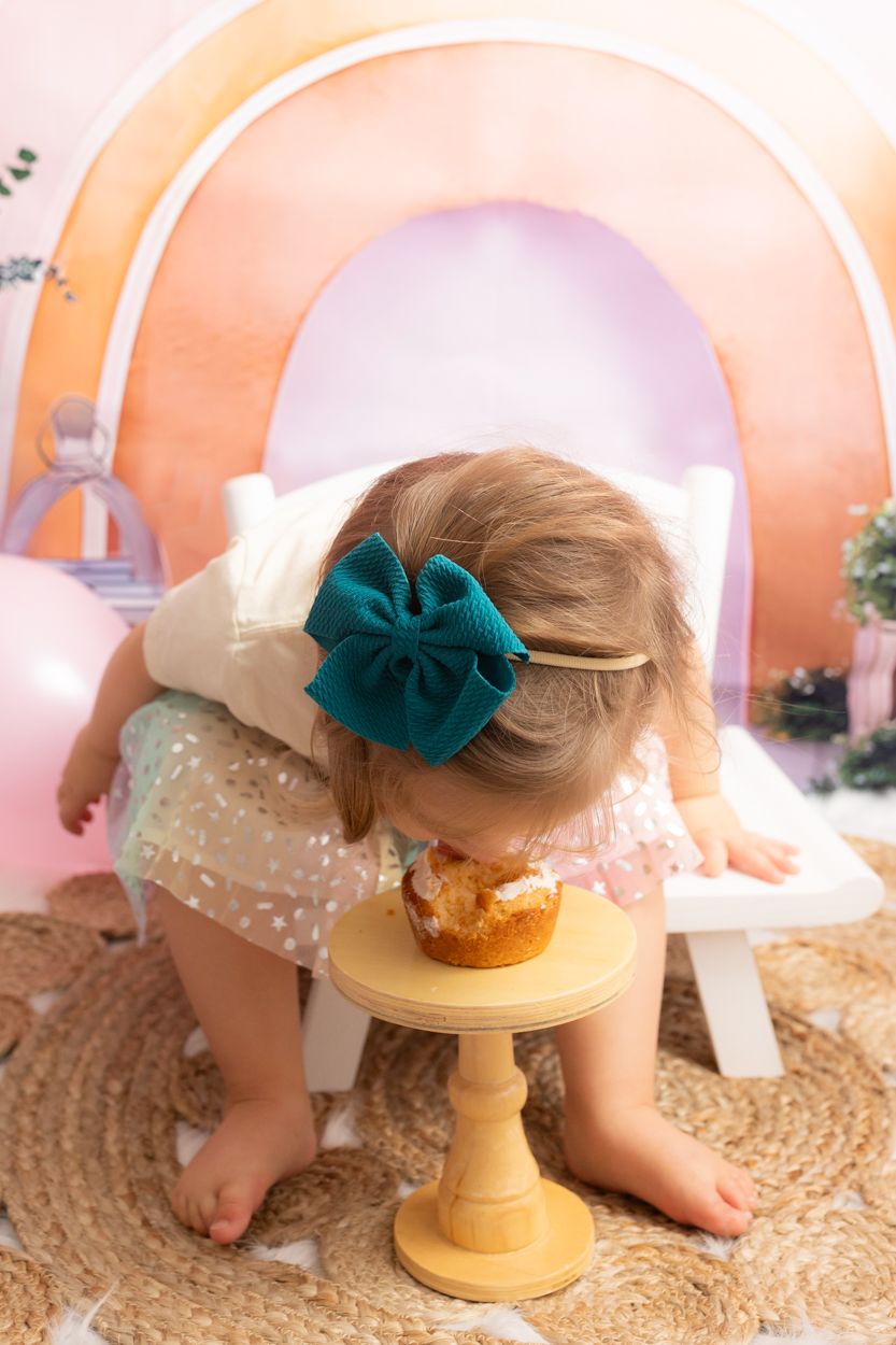 first or second birthday milestone photos at Samantha ann photo studio. family photographer in swansboro serving Emerald Isle nc beach.