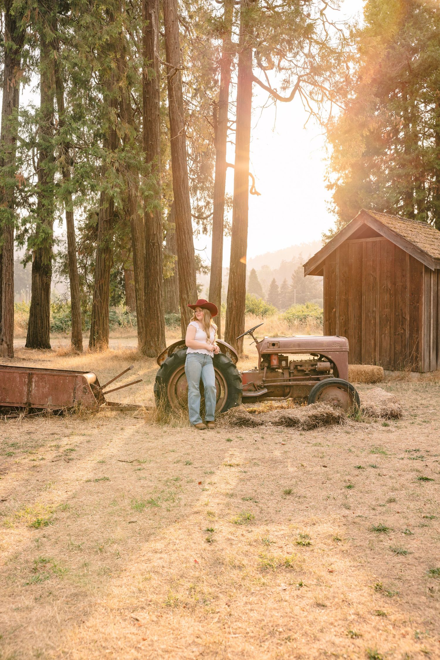 Rustic wooden buildings and structures in a sunlit forest setting.
