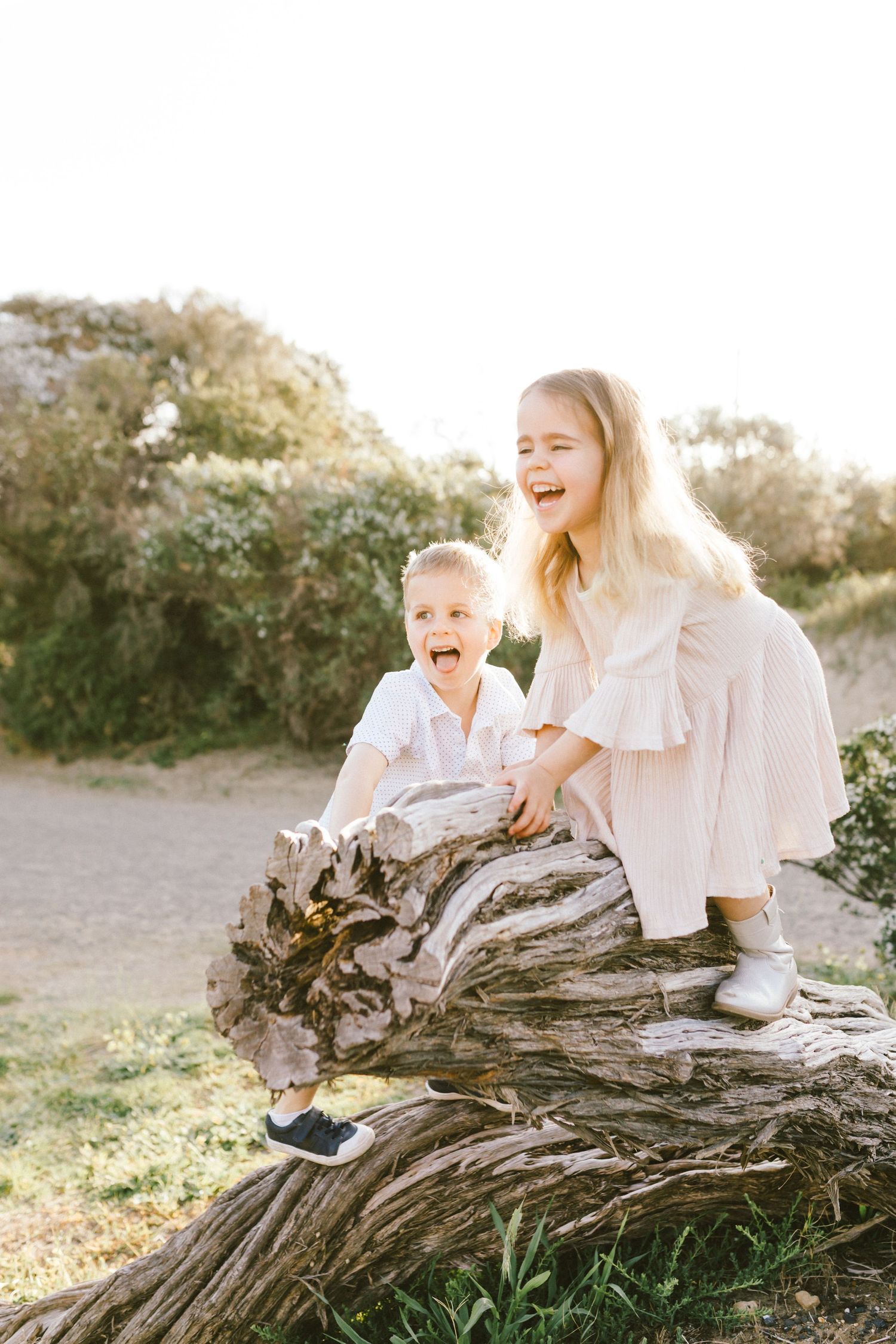 Three candid outdoor photos show joyful moments shared on a weathered log in warm natural lighting.