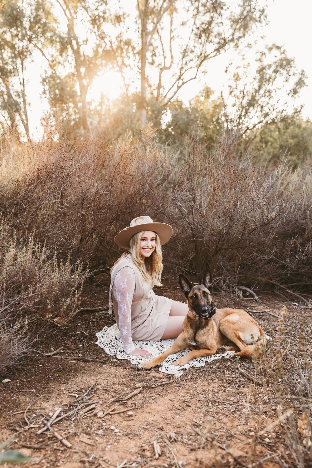 A Belgian Malinois dog rests on dry ground with brush and trees in the background during golden hour.