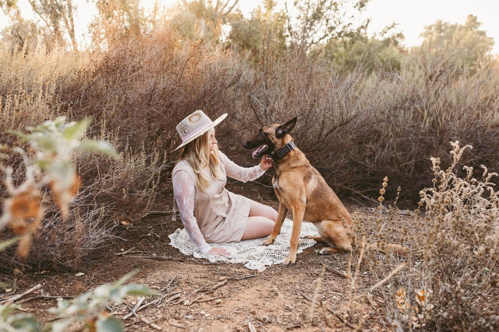 A Belgian Malinois dog interacts with someone in a white dress and hat sitting on a blanket in a natural outdoor setting.