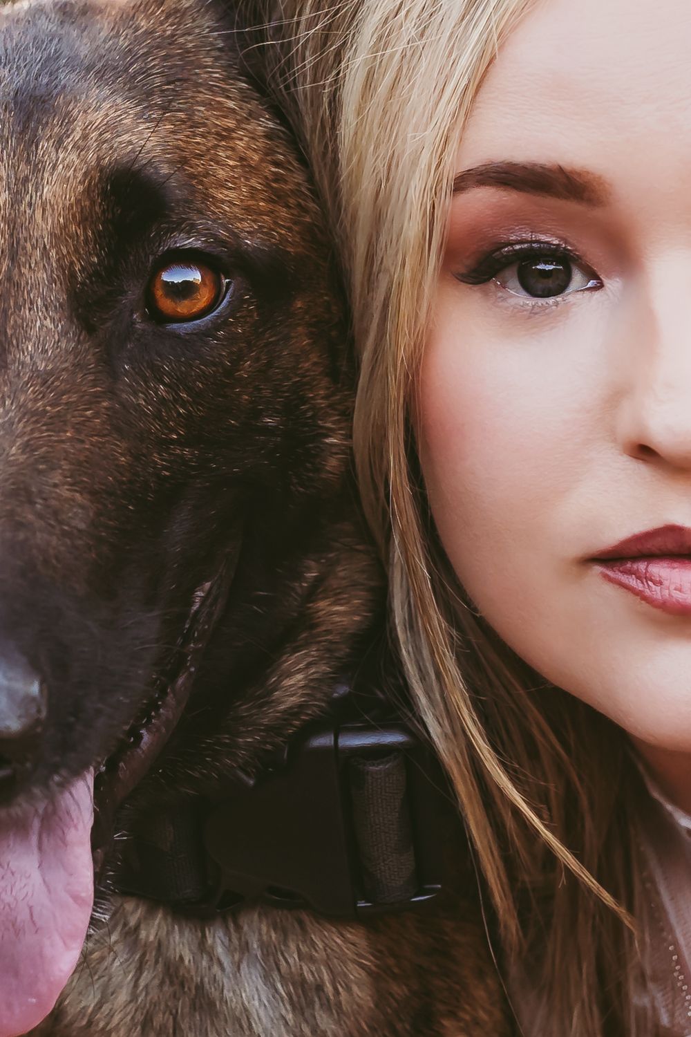 A series of close-up shots showing a dark-furred dog and a person's face in alternating profile views.