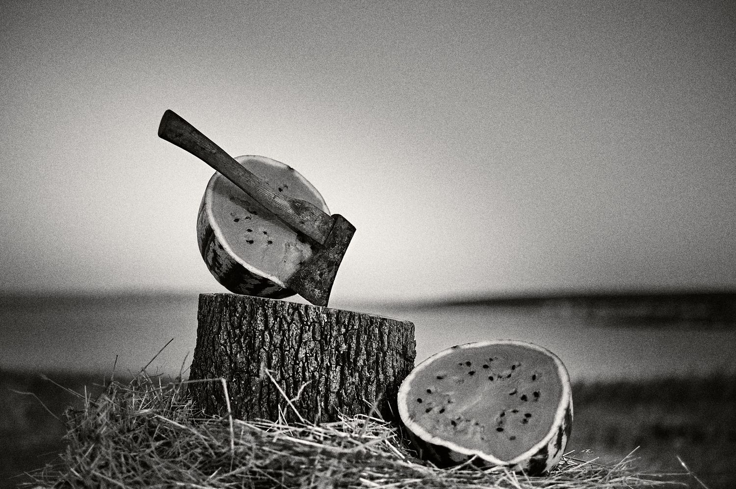 Black and white still life photographs of watermelon slices arranged on wooden stumps in a rustic outdoor setting.